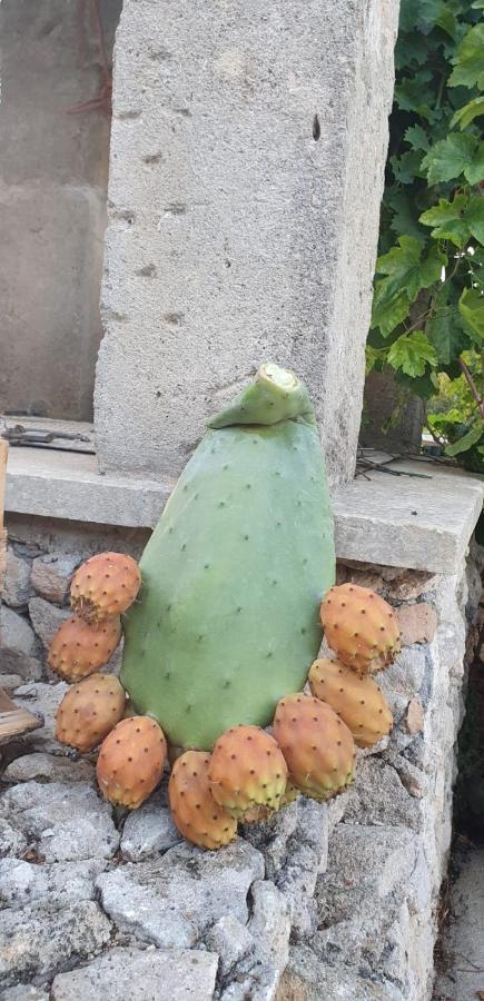 B&B Ancora Del Sud Otranto Zewnętrze zdjęcie